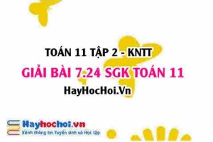 Bài 7.24 SGK Toán 11 Tập 2 Kết nối tri thức